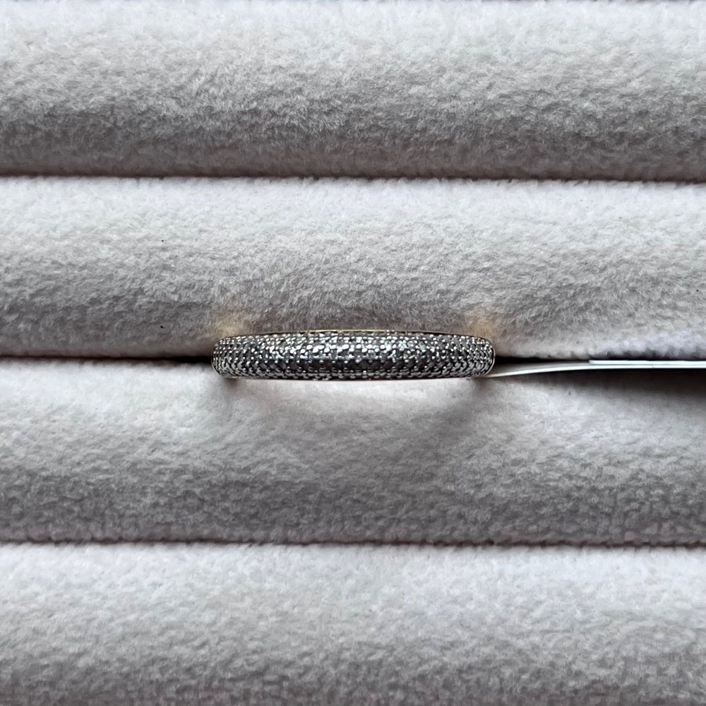 R041 | Natural Diamond Pave Band